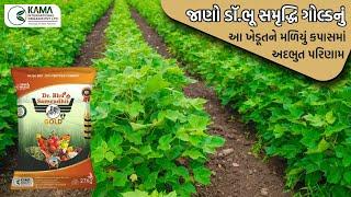 કપાસમાં અદભુત પરિણામ ડૉ.ભૂ સમૃદ્ધિ ગોલ્ડનું #kamainternationalorganic