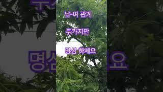 삶의지혜