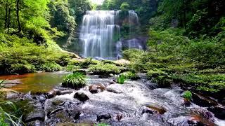 Waterfall flowing over rocks in forest 4k. Relaxing flowing water, White Noise for Sleep, Meditation