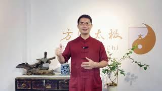 What's the difference between Chen and Yang Style TaiChi | Authentic Chinese Tai Chi Master