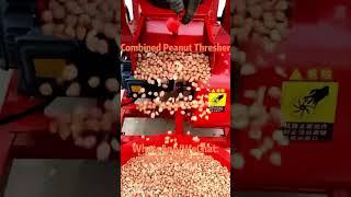 Good Price Peanut Cleaning And Shelling Combined Thresher Machine On Sale#peanut#thresher#threshing