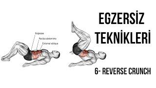 Serkan Yimsel - Egzersiz Teknikleri 6: Reverse Crunch