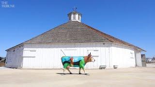 Get a look inside the newly restored Octagon Barn