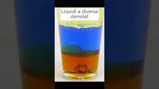 Liquidi a diversa densità! #esperimento #esperimenti #fisica #liquidi #olio