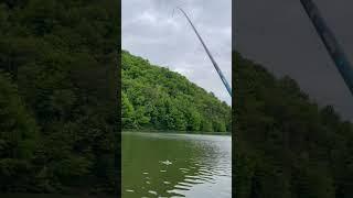 Pecanje na plovak, najlepša disciplina #fishing #pecanje