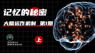 大脑机制探索，人的记忆是怎么回事？脳のメカニズムを探る、人の記憶とはどのようなものか？