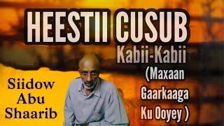 Hees Cusub Kabii Kabii lyrics - Siidow Abu Shaarib