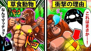 Why a gorilla that eats only grass is so muscular [Shocking] [Anime].