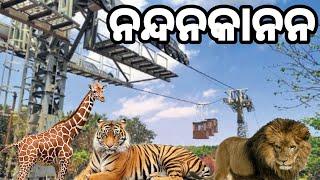 Nandankanan Zoological Park | 2nd Largest Zoo of India | Rope Way | Tiger Safari | Nandankanan |