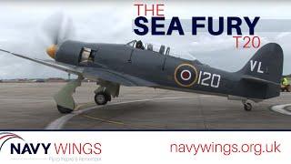 The Sea Fury T20