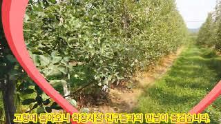 가람농원 Vlog(2022.06.25) 과원 상황