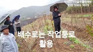 두릅작목반 견학 중요내용 공유/지역에 따른두릅품종선택배수관리/묘목식재후전지/두릅수확후전지/그루터기 전지법#참두릅#두릅#신구