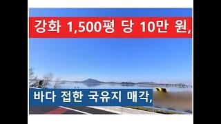 강화 1,500평 당 10만 원 (바다 접한 국유지 매각)