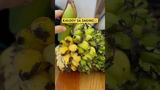 NAMURDER ANG SAGING KAY WA NAUWANI, WA KALIHOK WA KATUBO #shorts #fyp #follow