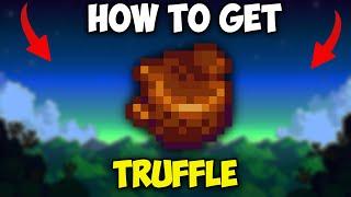 how to get TRUFFLE in Stardew Valley 1.6