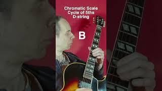 Chromatic scale through the cycle of 5ths on D-string #guitar  #guitarpractice  #jazz