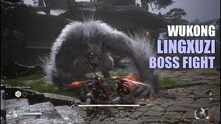 BLACK MYTH: WUKONG - LINGXUZI BOSS FIGHT