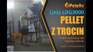 Linia do produkcji pelletu z trocin, pellet z trocin, peleciarka 22 kW