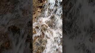 Nature's tini treasure| Mini but mesmerising| Secret waterfal| Hidden gem #explore #vlog #bloxfruits