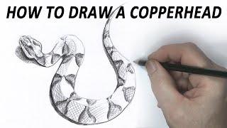 HOW TO DRAW A REALISTIC SNAKE, American Copperhead- (Intermediate)