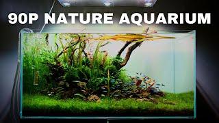 The ScaperLine 90: EPIC Step By Step 3ft Aquascape Tutorial