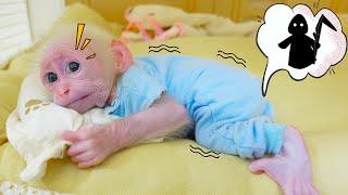 Baby monkey Poki wakes up from a nightmare and rushes to find his mom!