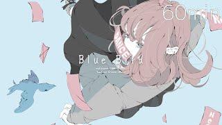 Copyright-free BGM "Blue Bird" [Pop / Cute, Bright / Opening, 1-Hour Loop / Work, Streaming]