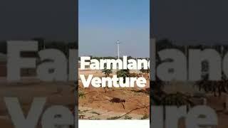 #short video real estate in Hyderabad property consultant 8074433 863