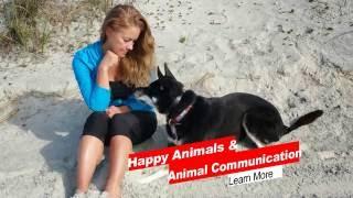 Happy Animals: Advice from an Animal Communicator