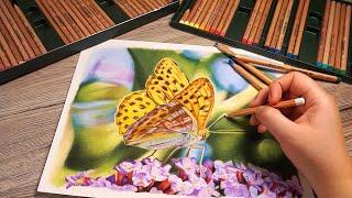 BEGINNER'S Guide to PASTEL PENCILS - Faber Castell Pitt Pastel Tutorial