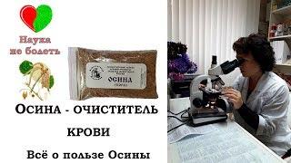 ОСИНА - ОЧИСТИТЕЛЬ КРОВИ  -||- ВСЕ ОБ ОСИНЕ -||- КОРА ОСИНЫ ЛЕЧЕНИЕ