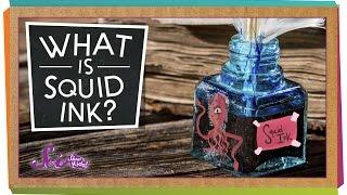 What Is Squid Ink?