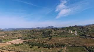 Volant el Priorat, DOMontsant i DOQPriorat