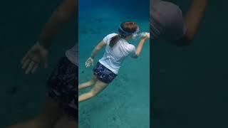 Freediving Thunderball grotto  Bahamas #shorts #short