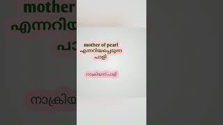 hst natural science/psc biology/ pearl oyster/pinctada/hsa/ ncert