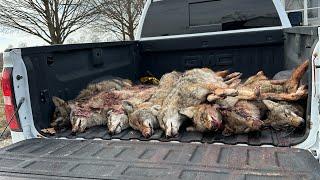 S2 E4 Illinois Thermal Coyote Tournament (Nuggets Night Vision Predator Challenge)