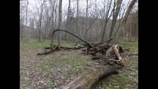 Bigfoot Arch Structures