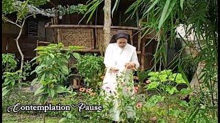 Contemplative Pause by Sr. Eppie Brasil, OP- June 23, 2024