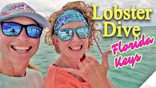 Chasing Lobster In The Florida Keys