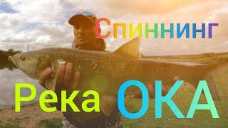 Рыбалка На Спиннинг/РЕКА ОКА.Ловля Жереха. Район Ступино. #NEKFiSh