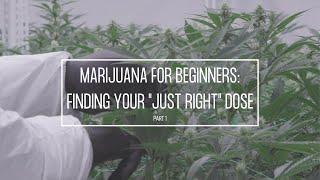 Medical Marijuana for Beginners (Part 1): Finding Your "Just Right" Dose | Discover Marijuana