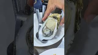 Cambodia's Best Oysters!!  SEAFOOD on street #shorts #foodblogger #viralvideo #streetfood #foodie