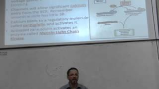 Physiology 11th lec Dr. Seraj