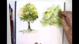 3 Easy Watercolor Trees Every Beginner Can Paint Today! 