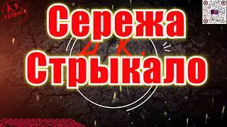 #Сережа(#AK)~   #Стрыкало #караоке #тренды #подпишись #TikTok #akkaraoke @a.k.karaoke