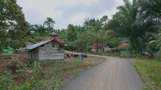 kampung Pedalaman Suku Jawa Asli Di Plosok Desa Bengkulu Bikin Trenyuh