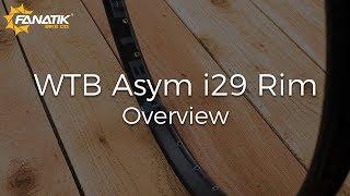 WTB Asym I29 Rim Review at Fanatikbike.com