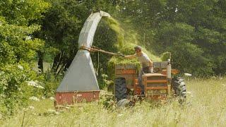 Maraîchage tout herbe - prairies, mulch et fertilité