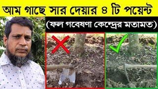 আম গাছে সার দেয়ার সঠিক পদ্ধতি (৪টি পয়েন্ট)! কী কী সার দিব ? কতবার-কখন দিব? ফল গবেষণা কেন্দ্রের মতামত