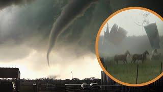 Horses Hit by Tornado & Escape Unharmed